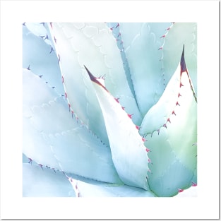 Teal Agave Posters and Art